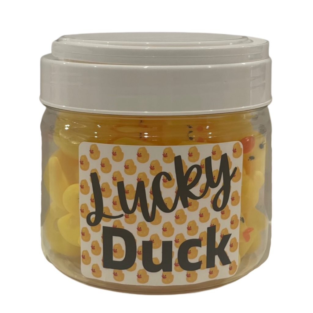 32 Lucky Ducks - class set of incentive ducks in a home