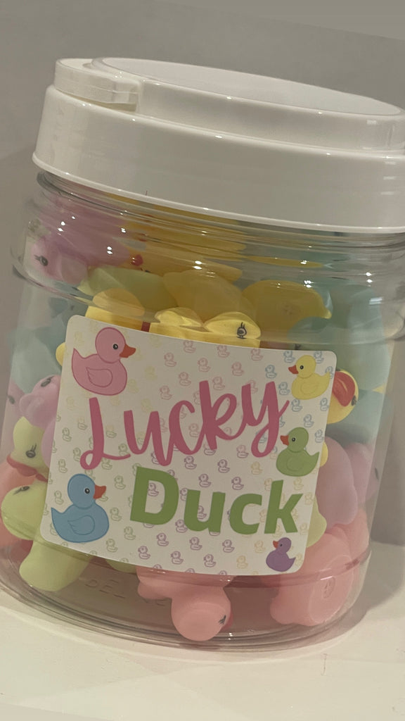 NEW! 32 PASTEL Lucky Ducks - class set of incentive ducks in a home