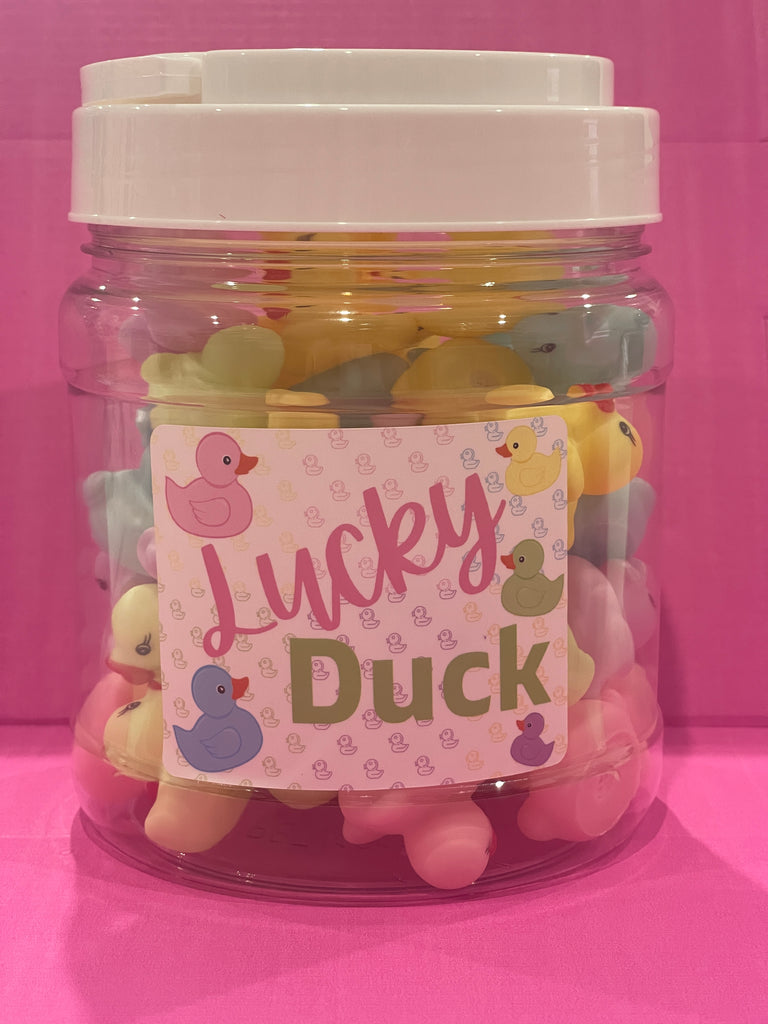 NEW! 32 PASTEL Lucky Ducks - class set of incentive ducks in a home